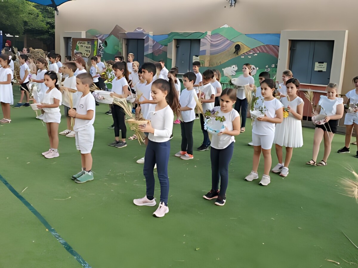 בית ספר מעיינות – כברי, קיבוץ כברי – תמונה 5 מהפרויקט